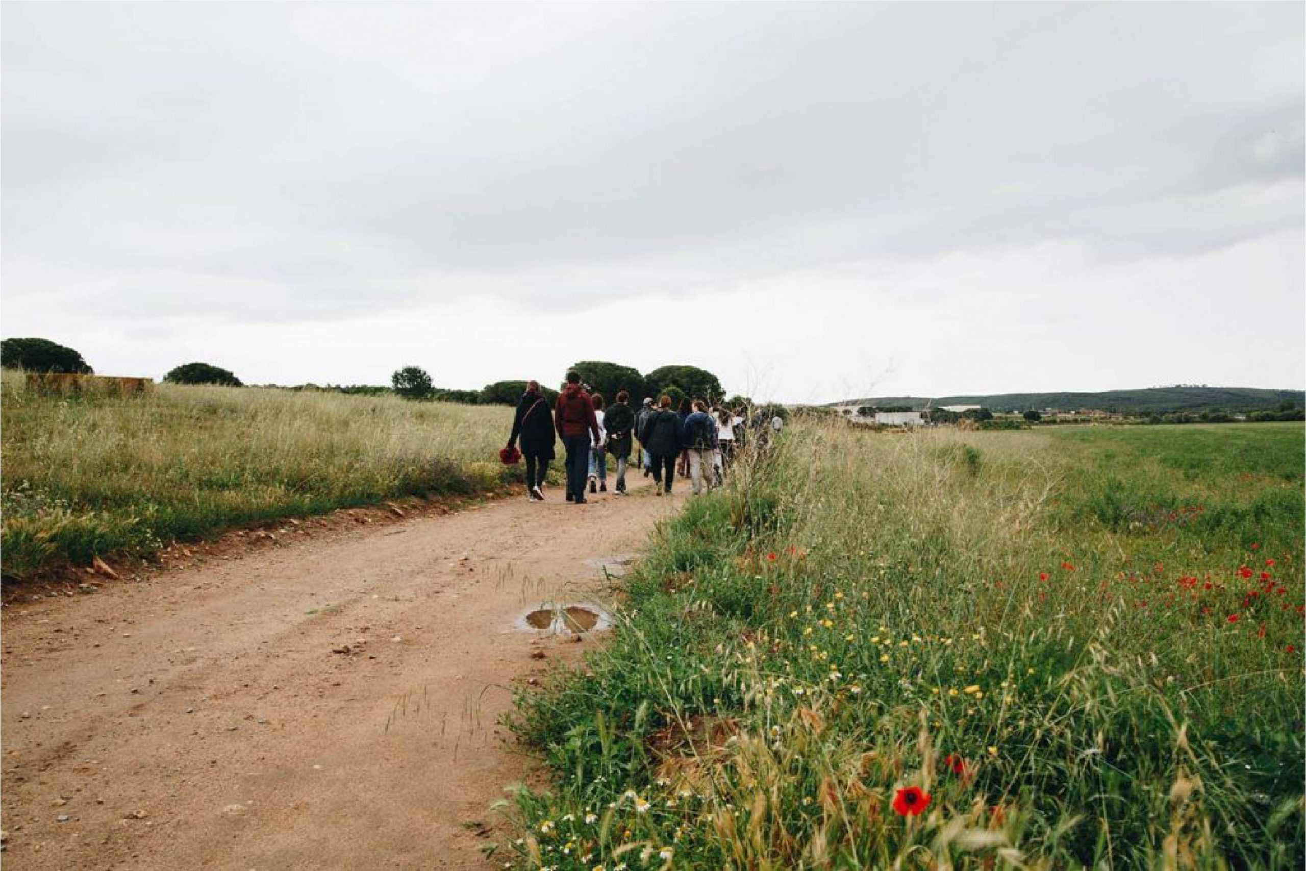 L’objectiu d’aquestes activitats és reflexionar sobre la importància de protegir el medi ambient. Foto: Setmana de la Natura.