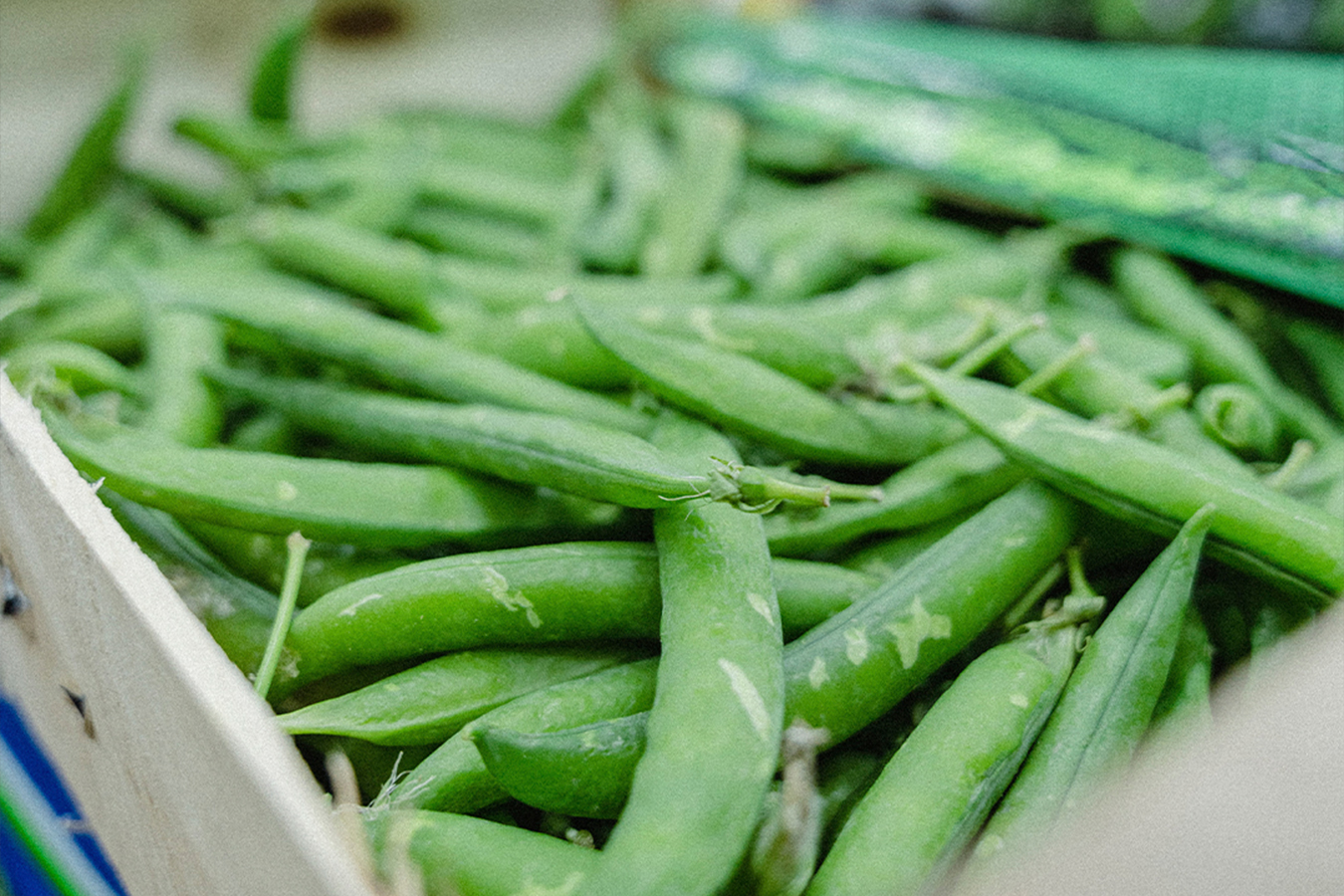 Productes ecològics, de temporada i produïts a l’Espai Agrari de la Baixa Tordera, als menjadors escolars