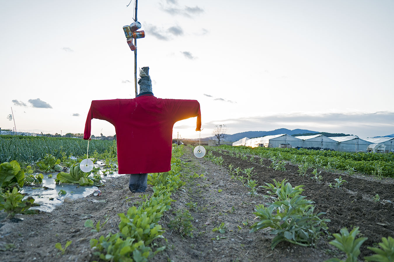 La veu de la pagesia: Tres agricultors de l’EABT responen a alguns dels tòpics més habituals sobre la pagesia