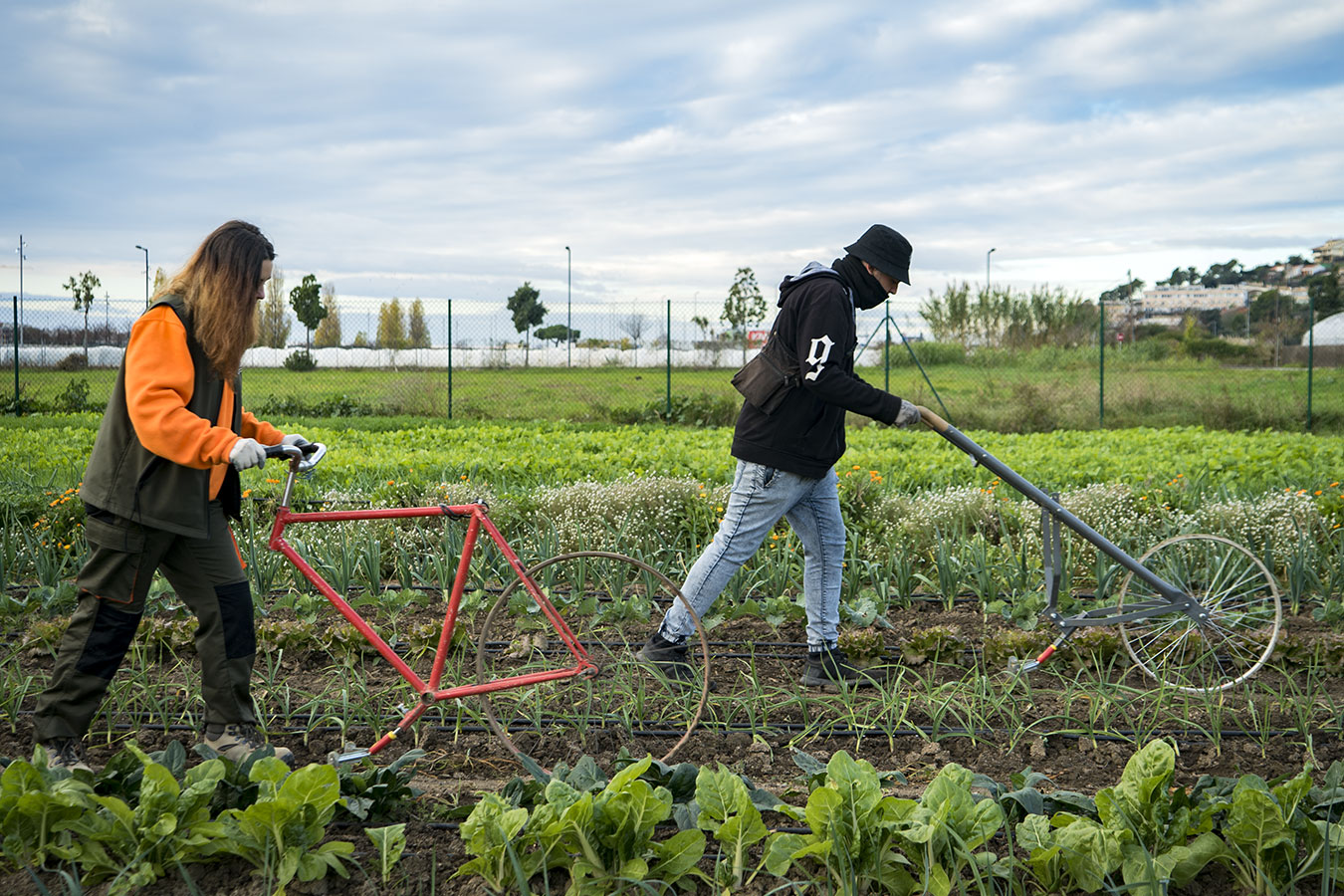 Jornada de portes obertes al CFGM en Producció Agroecològica!