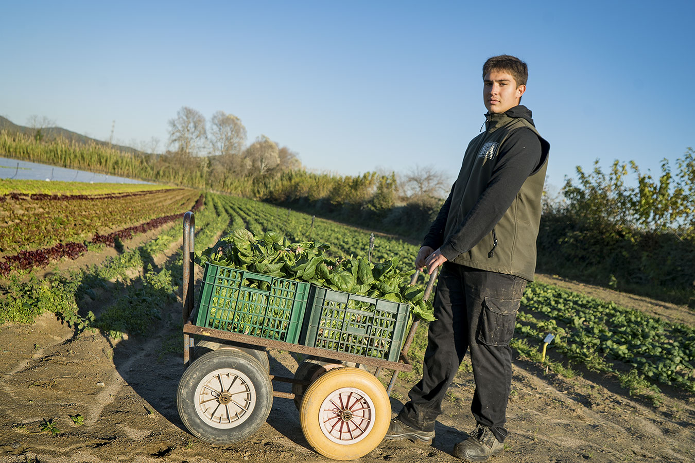 Així són els nous ajuts PAC especialment dirigits a joves agricultors i ramaders