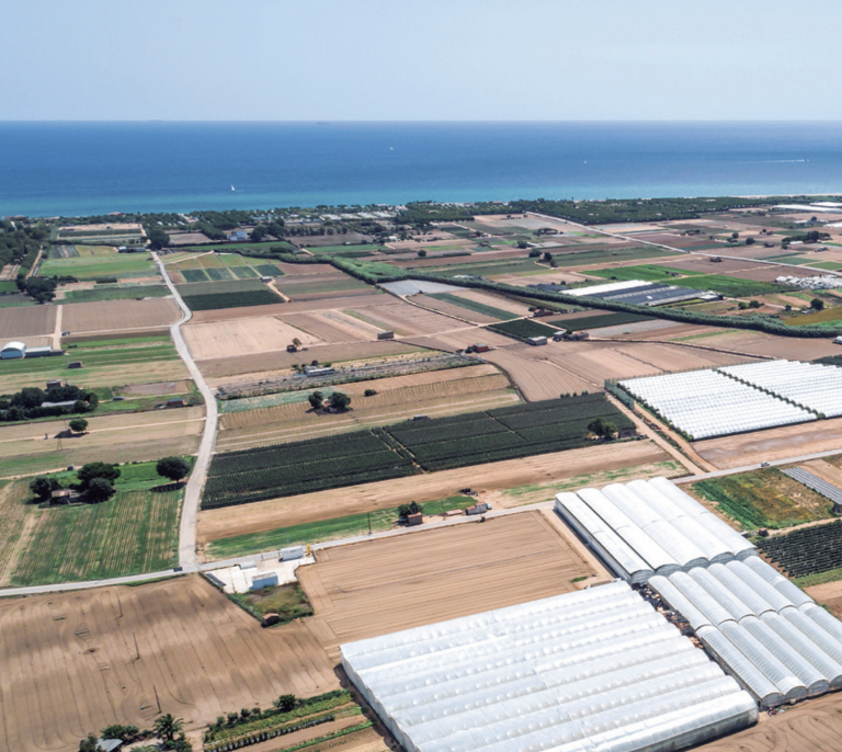 Vista aèria dels camps i conreus de l'Espai Agrari de la Baixa Tordera