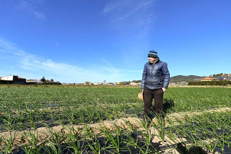 Anna Pascual, una jove pagesa de l'Espai Agrari de la Baixa Tordera