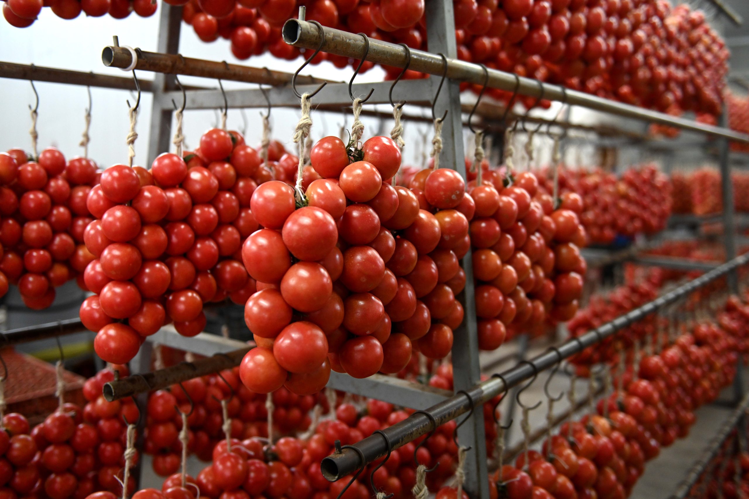 Estratègia alimentària a l’Espai Agrari de la Baixa Tordera