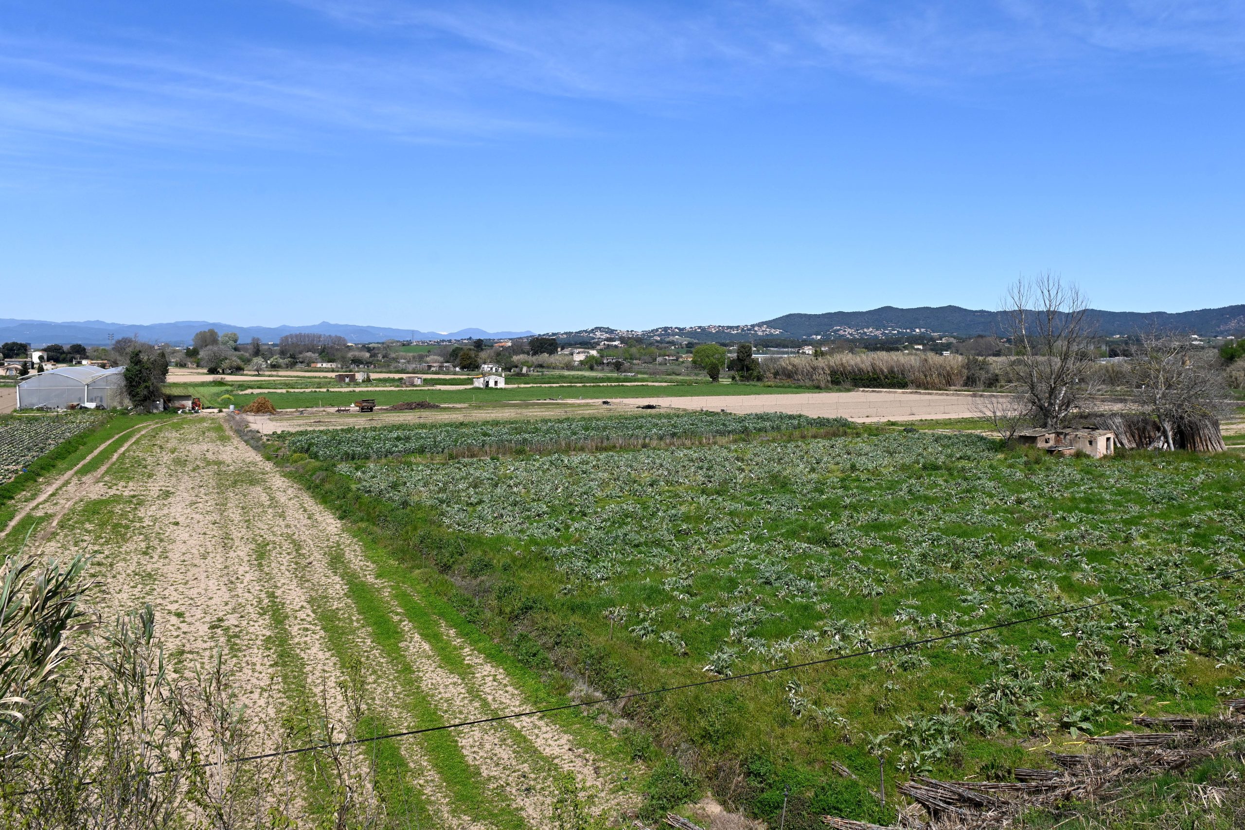 Principals característiques del sector agrari de l’Espai Agrari de la Baixa Tordera