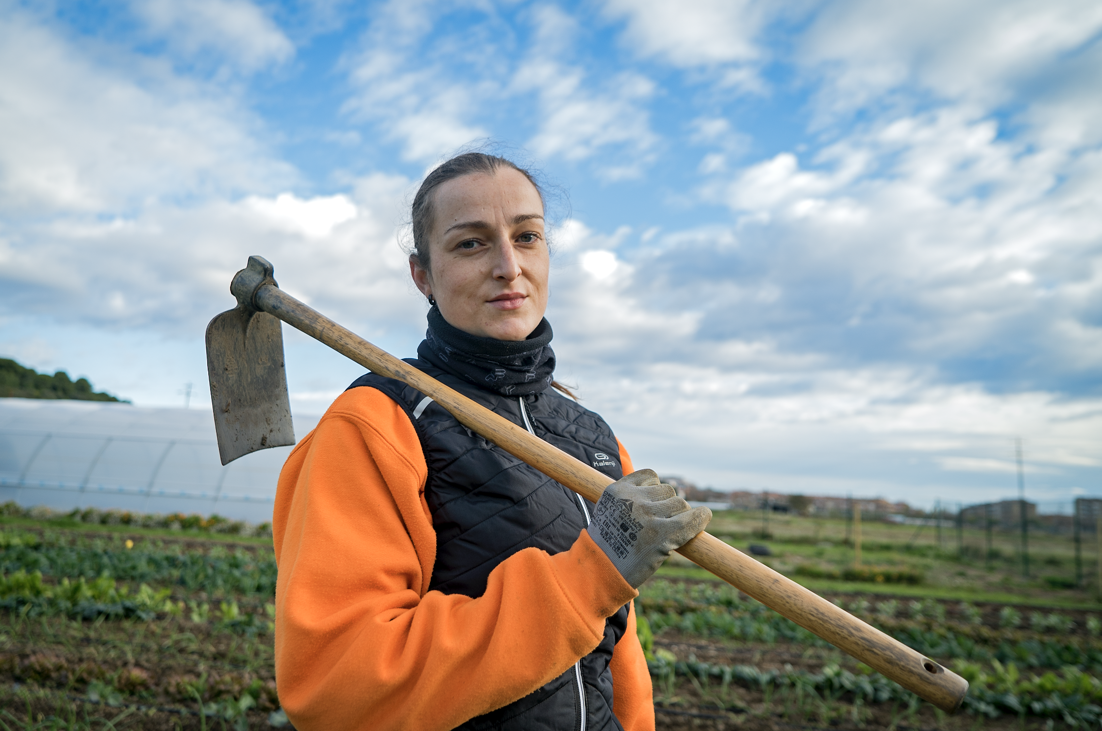 Un curs ben viu: activitats i projectes del Cicle Formatiu d’Agroecologia de l’Institut Ramon Turró i Darder