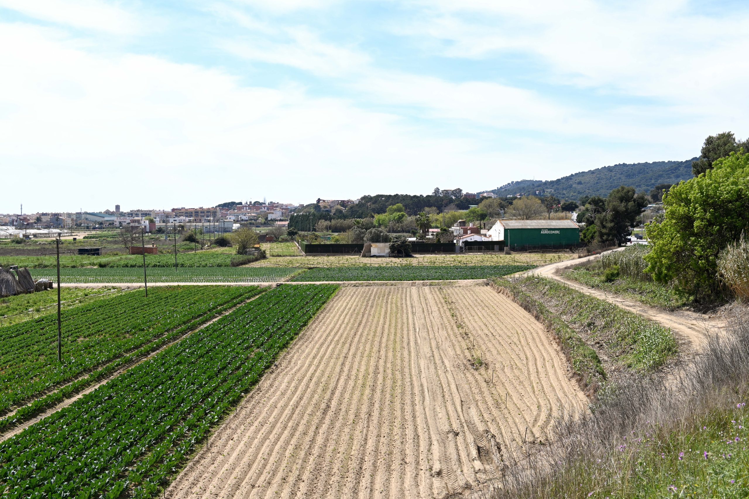 Oberta la recepció de propostes per la contractació del servei de manteniment de la xarxa de drenatge de l’Espai Agrari de la Baixa Tordera
