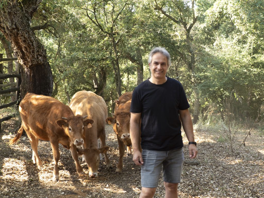 Jordi Torres