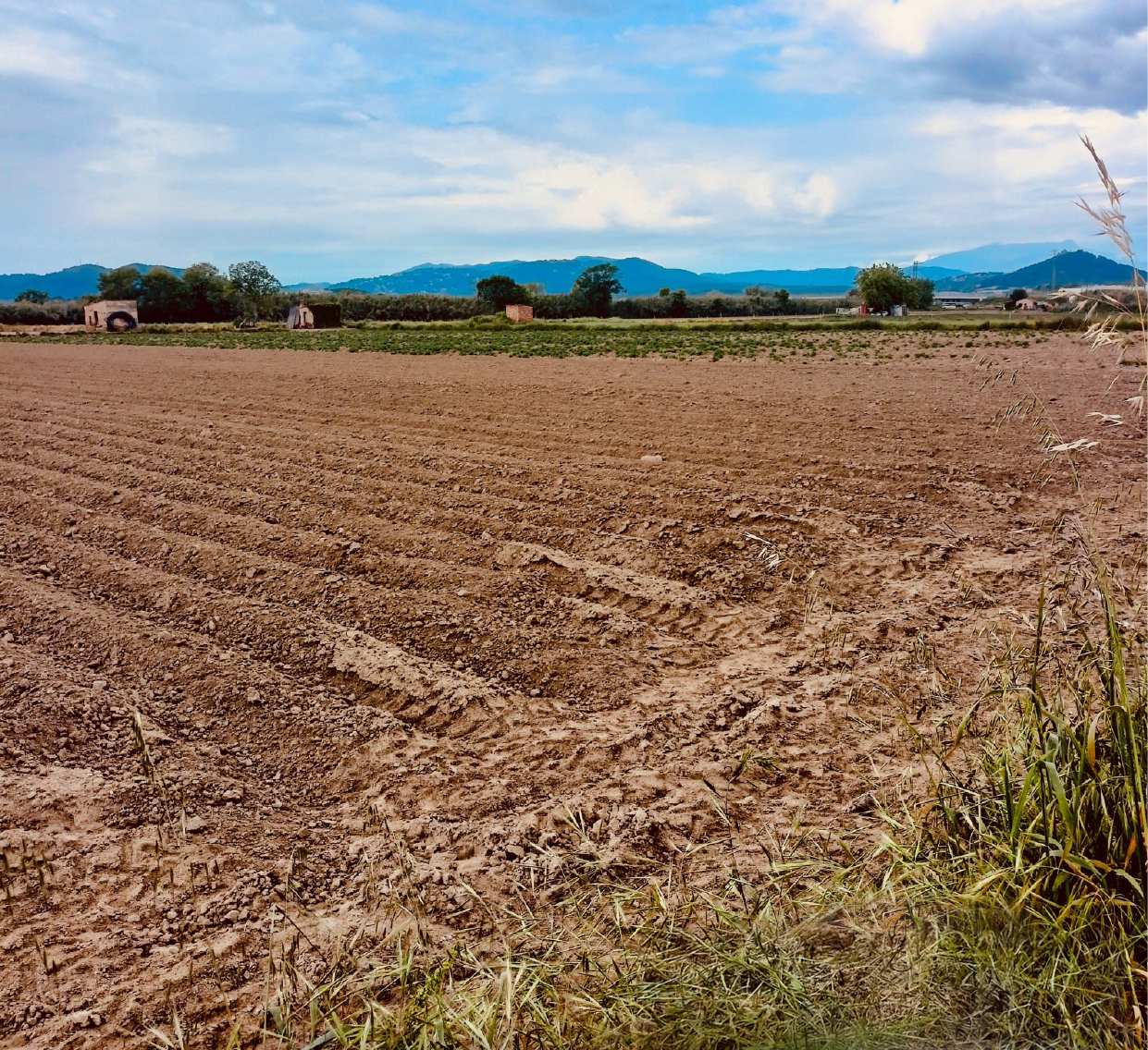 Accions educatives per enfortir entre l’Espai Agrari i les escoles