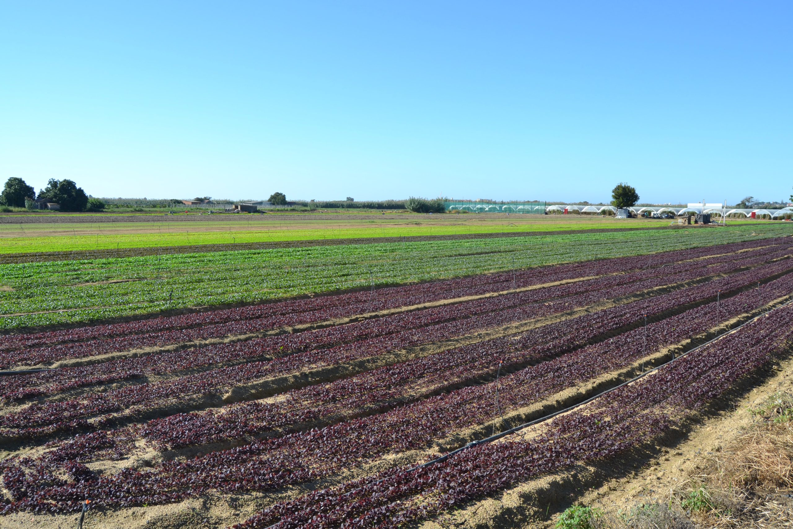 L’Espai Agrari de la Baixa Tordera inicia el procés de contractació d’un tècnic o tècnica de dinamització agrària i suport a l’associació Espai Agrari Baixa Tordera