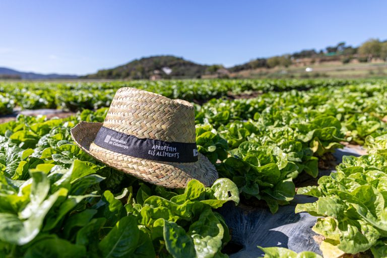Campanya "Aprofitem els Aliments"