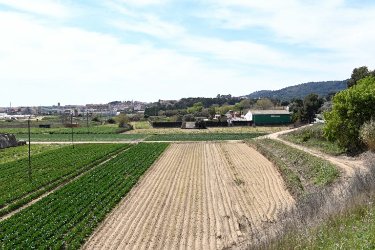Espai Agrari de la Baixa Tordera