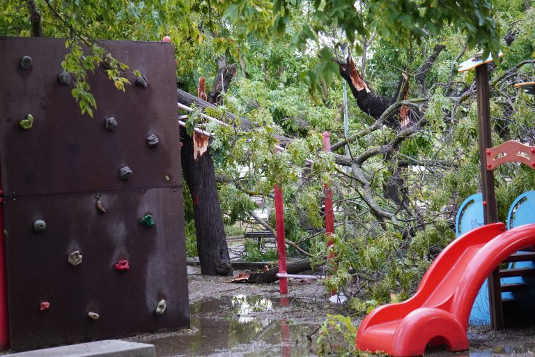 Imatges del Parc de l'Amistat després de l'esclafit