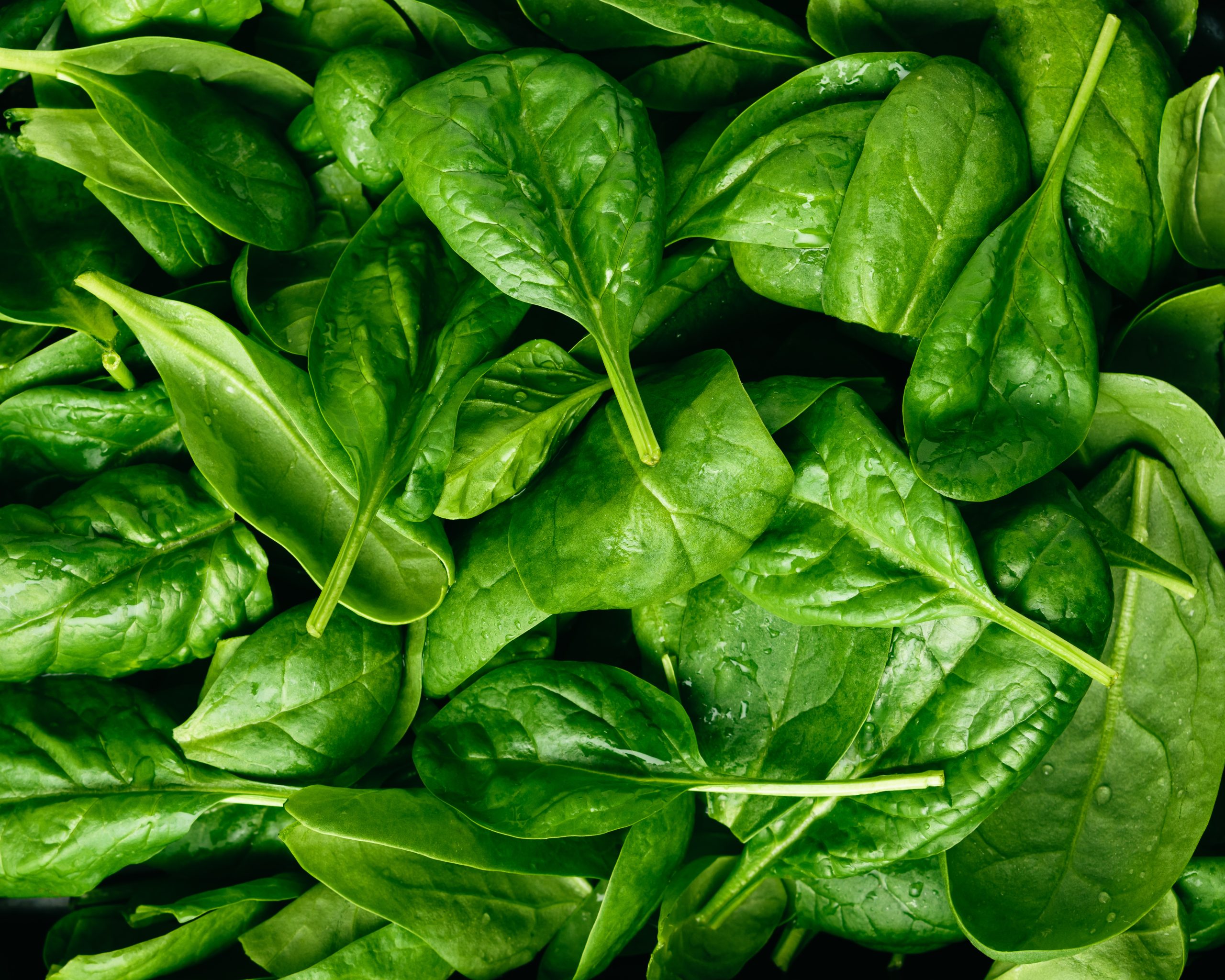 Espinacs: verd intens, salut i com cuinar-los a la tardor