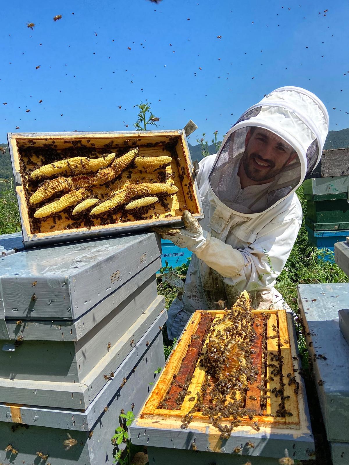 Marc Bigas: la vida entre abelles, natura i paciència