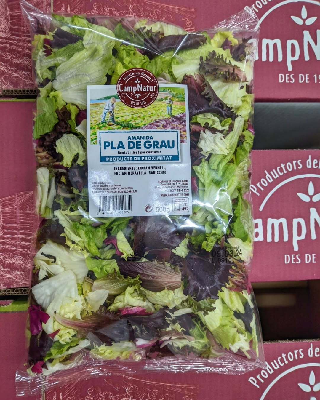 La producció de quarta gamma de la cooperativa Progrés Garbí